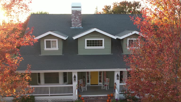 Best Storm Damage Roof Repair  in Grand Ledge, MI
