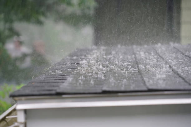 Best 4 Ply Roofing  in Grand Ledge, MI